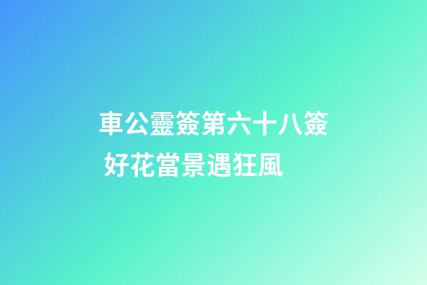 車公靈簽第六十八簽 好花當景遇狂風